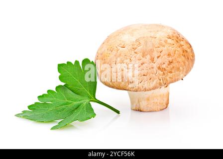 Champignon und grünes Petersilienblatt auf weißem Hintergrund Stockfoto