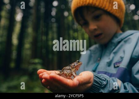 Junge, der einen Frosch in der Hand hält Stockfoto