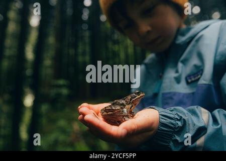 Junge, der einen Frosch in der Hand hält Stockfoto