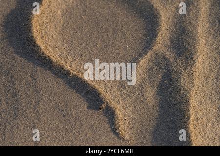 Durch den Wind im Sand entstandene Strukturen, Insel Amrum, Nationalpark Schleswig-Holsteinisches Wattenmeer, Deutschland, Schleswig-Holstein, Nordseeküste Stockfoto