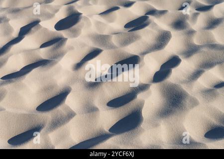 Durch den Wind im Sand entstandene Strukturen, Insel Amrum, Nationalpark Schleswig-Holsteinisches Wattenmeer, Deutschland, Schleswig-Holstein, Nordseeküste Stockfoto