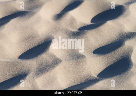 Durch den Wind im Sand entstandene Strukturen, Insel Amrum, Nationalpark Schleswig-Holsteinisches Wattenmeer, Deutschland, Schleswig-Holstein, Nordseeküste Stockfoto