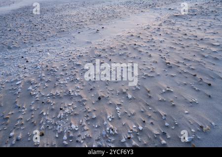 Am Strand, Insel Amrum, Nationalpark Schleswig-Holstein Wattenmeer, Deutschland, Schleswig-Holstein, Nordseeküste Stockfoto