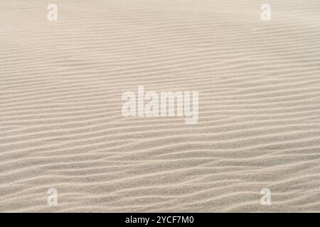 Windmuster im Sand, Insel Amrum, Nationalpark Schleswig-Holstein Wattenmeer, Deutschland, Schleswig-Holstein, Nordseeküste Stockfoto