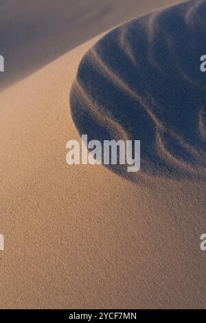 Strukturen durch Wind im Sand, Abendlicht, Insel Amrum, Nationalpark Schleswig-Holsteinisches Wattenmeer, Deutschland, Schleswig-Holstein, Nordseeküste Stockfoto