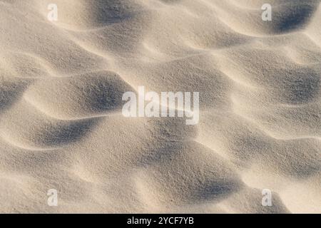 Durch den Wind im Sand entstandene Strukturen, Insel Amrum, Nationalpark Schleswig-Holsteinisches Wattenmeer, Deutschland, Schleswig-Holstein, Nordseeküste Stockfoto