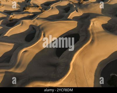 Dünen von Maspalomas, Maspalomas, Gran Canaria, Kanarische Inseln, Spanien Stockfoto