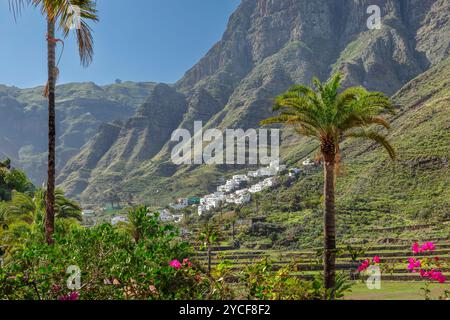 Tal von Agaete, Barranco de Agaete, Agaete, Gran Canaria, Kanarische Inseln, Spanien Stockfoto