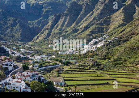 Tal von Agaete, Barranco de Agaete, Agaete, Gran Canaria, Kanarische Inseln, Spanien Stockfoto