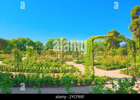 Zu Fuß durch Buen Retiro Park. Rose Park (Parque De Las Rosas) im Botanischen Garten im Park Retiro. Madrid, Spanien. Stockfoto