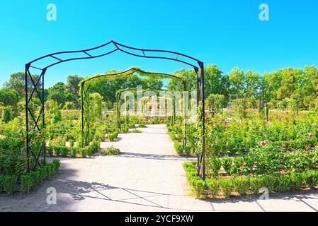 Zu Fuß durch Buen Retiro Park. Rose Park (Parque De Las Rosas) im Botanischen Garten im Park Retiro. Madrid, Spanien. Stockfoto