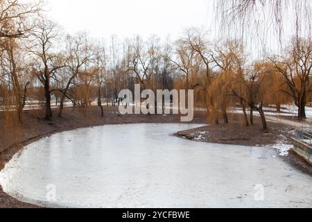 Die ruhige Szene zeigt einen gefrorenen See mit einer anmutigen Weide im Vordergrund, die Elemente des Wassers, des Himmels, der Pflanzenwelt und eines natürlichen Landes einfängt Stockfoto