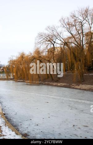 Die ruhige Szene zeigt einen gefrorenen See mit einer anmutigen Weide im Vordergrund, die Elemente des Wassers, des Himmels, der Pflanzenwelt und eines natürlichen Landes einfängt Stockfoto