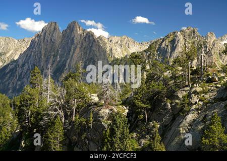 Das Gebirge der Els Encantats im Nationalpark Aigüestortes i Estany de Sant Maurici, Katalonien, Spanien, Europa Stockfoto