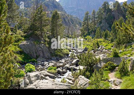 Fluss im Nationalpark Aigüestortes i Estany de Sant Maurici, Katalonien, Spanien, Europa Stockfoto