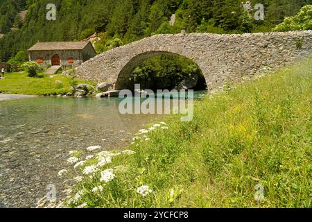 Die romanische Brücke Puente Romanico de San Nicolas de Bujaruelo über den Fluss Ara im Bujaruelo-Tal oder Valle de Bujaruelo und die Kirche Iglesia de San Nicolas de Bujaruelo bei Torla-Ordesa, Spanien, Europa Stockfoto