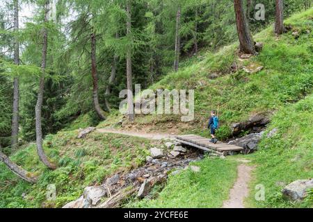 Rückweg von den Saent Wasserfällen. Europa, Italien, Trentino Südtirol, Provinz Trient, Rabbi, Sonnental. Stockfoto