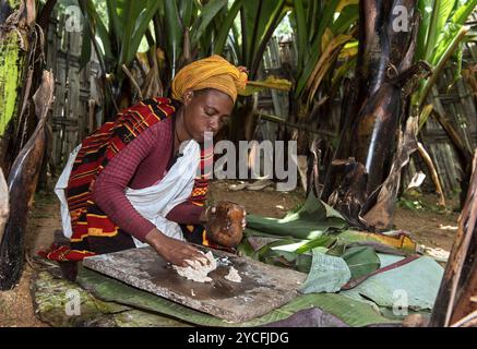 Frau aus der Dorze-ethnischen Gruppe, die Kocho-Brotteig aus abessinischen Bananenblättern (Ensete ventricosum) in der Nähe von Arba Minch im Süden Äthiopiens zubereitete Stockfoto