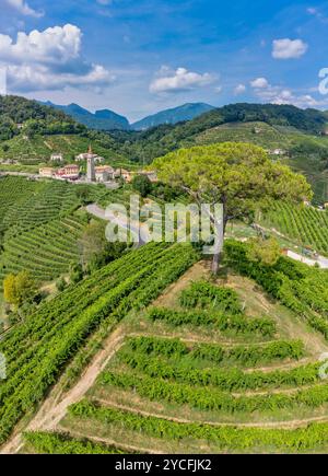 Das Dorf Rolle in der Gemeinde Cison di Valmarino, umgeben von den Weinbergen des Prosecco, ein UNESCO-Weltkulturerbe, Provinz Treviso, Venetien, Italien Stockfoto