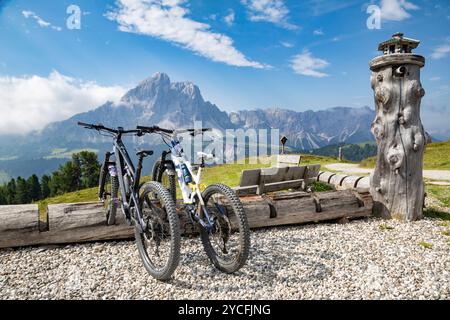 Italien, Südtirol, Provinz Bozen, San Martino in Badia, E-Bikes auf dem Träger aus einem Baumstamm in der Nähe der Schutzhütte Monte Muro, im Hintergrund der Sass de Putia, Dolomiten Stockfoto