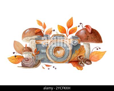 Aquarellillustration mit Kamera, Pilzen, Schnecke, Eicheln und Laub. Handgezeichnet Stockfoto