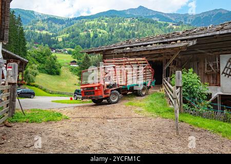 Heuernte auf einer steilen Bergwiese im Ultental, Südtirol, Italien Stockfoto