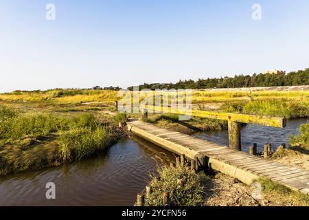 Brücke in den Salzwiesen im Nationalpark Schleswig-Holsteinisches Wattenmeer bei Sankt Peter-Ording, Nordfriesland, Schleswig-Holstein Stockfoto