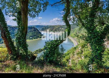 Blick auf den Rhein vom Hochplateau Loreley mit St. Goarshausen, dem Campingplatz Loreleyblick, den Schlössern Katz und Maus und der Bootsfahrt auf dem Mittelrhein, Stockfoto