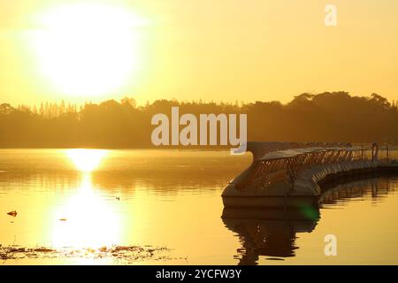 Eine Reihe leerer Swan Tretboote, die im Sonnenlicht am Golden Lake ankern Stockfoto
