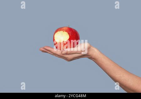 Gebissener Apfel auf der Handfläche der Frau vor grauem Hintergrund. Apfel als Symbol der verbotenen Frucht, des Vergnügens Stockfoto