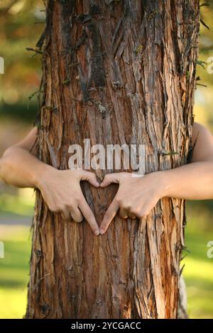 Treehugger Stockfoto