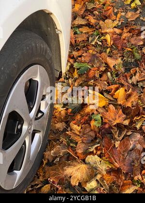 Nach einem Herbststurm ist die Einfahrt mit herabfallenden Blättern bedeckt Stockfoto