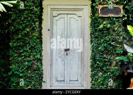 Eine alte Holztür mit komplizierten Schnitzereien, eingerahmt von üppigem grünem Efeu. Stockfoto