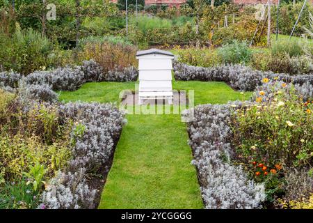Ein traditioneller weißer Holzbienenstock in einem Norfolk Blumengarten. Stockfoto