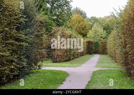 Ruhiger Gartenpfad zwischen üppigen Hecken in einer ruhigen Parklandschaft ohne Leute Stockfoto