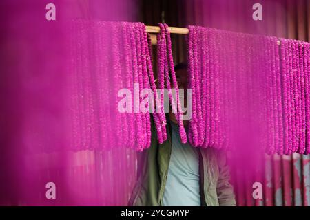 Kathmandu, Nepal. Oktober 2024. Ein Mann hängt Girlanden aus Makhamali-Blumen (Globus Amaranth), um sie auf den Märkten für das bevorstehende Tihar-Festival in Bhaktapur zu verkaufen. Quelle: SOPA Images Limited/Alamy Live News Stockfoto