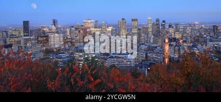 Neue Skyline von Montreal, beleuchtet in der Abenddämmerung im Herbst mit roten Blättern im Vordergrund, Quebec, Kanada Stockfoto