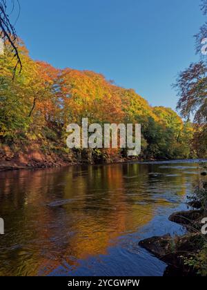 Ein breiter Abschnitt des langsam fließenden Riner North Esk am Edzells River Walk mit den goldenen Reflexen der Bäume im Wasser. Stockfoto