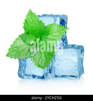Drei Eiswürfel und Minze Stockfoto