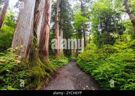 Togakushi-Schrein in der Nähe von Nagano in Japan Stockfoto