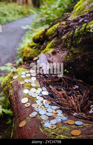 Togakushi-Schrein in der Nähe von Nagano in Japan Stockfoto