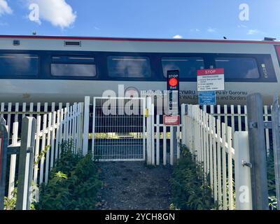 Transport für walisischen Personenzug, der an einer Fußgängerüberquerung vorbeifährt, die eine rote Ampel anzeigt. Stockfoto