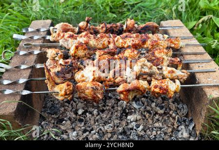 Schaschlik: Scheiben von Fleisch mit Soße vorbereiten auf Feuer Stockfoto