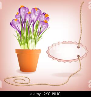 Frühlingskrokusse im Gartenblumentopf. Abbildung Stockfoto