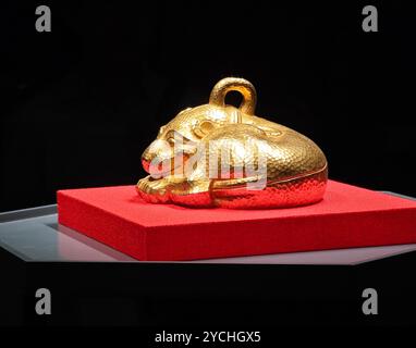 Eine alte goldene Tierform, die auf schwarzem Hintergrund im Museum ausgestellt wird Stockfoto