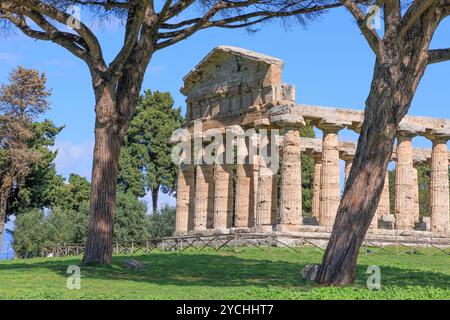 Tempel der Athena in Paestum in Italien. Stockfoto