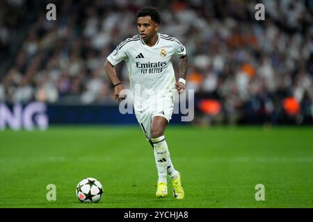 Madrid, Spanien. Oktober 2024. Thibaut Courtois von Real Madrid CF spielte während des UEFA Champions League-Spiels zwischen Real Madrid und Borussia Dortmund am 22. Oktober 2024 im Santiago Bernabeu Stadion in Madrid. (Foto: Cesar Cebolla/PRESSINPHOTO) Credit: PRESSINPHOTO SPORTS AGENCY/Alamy Live News Stockfoto