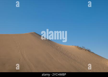 Abstrakte Düne mit einem kleinen trockenen Busch gegen den blauen Himmel in einer großen Wüste von Huacachina in Ica, Peru bei Sonnenuntergang Stockfoto