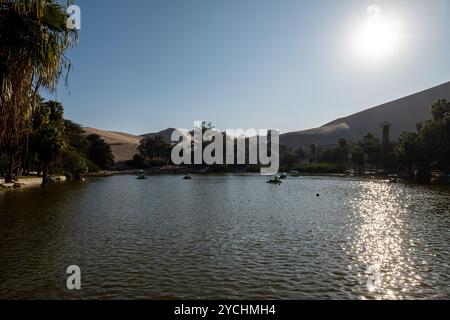 Oase mit Tretbooten in der Mitte einer großen Wüste, bekannt als Huacachina in Ica, Peru Stockfoto