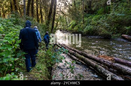 Wanderer spazieren entlang der Ufer eines lachshaltigen Flusses in den Lebensraum von Grizzlybären im Great Bear Rainforest in British Columbia, Kanada Stockfoto